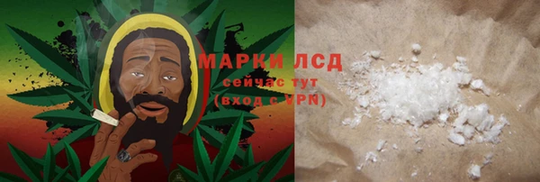 индика Бородино