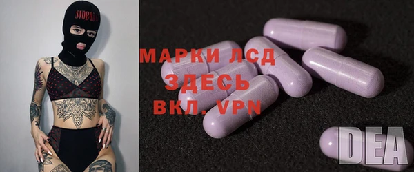 индика Бородино