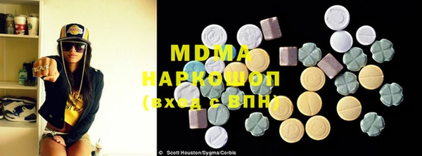 индика Бородино