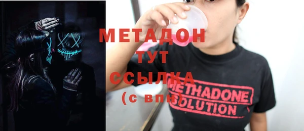 индика Бородино