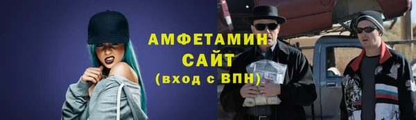 индика Бородино