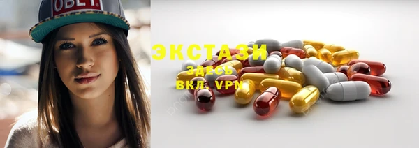 индика Бородино