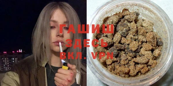 индика Бородино