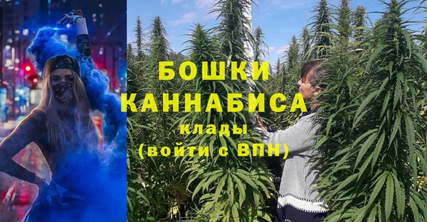 индика Бородино