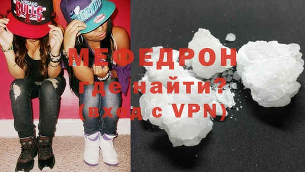 индика Бородино