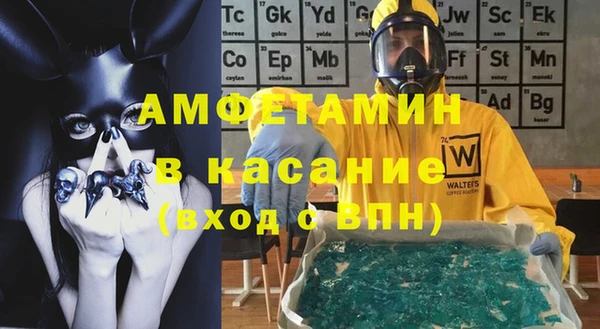 индика Бородино
