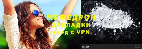 индика Бородино
