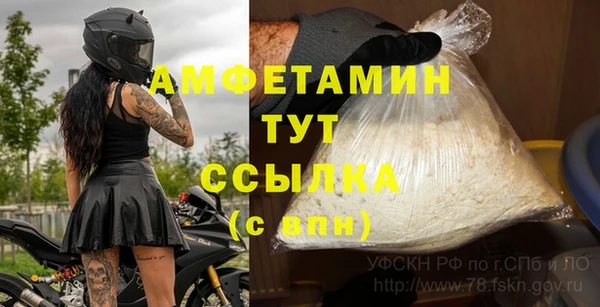 индика Бородино
