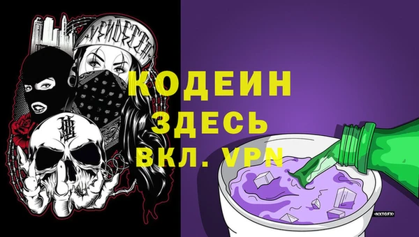 индика Бородино