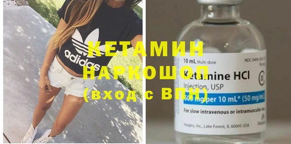 индика Бородино