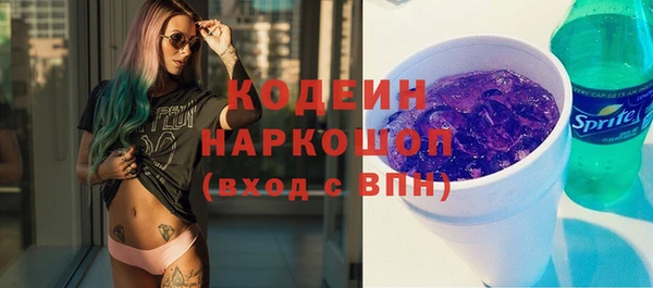 индика Бородино