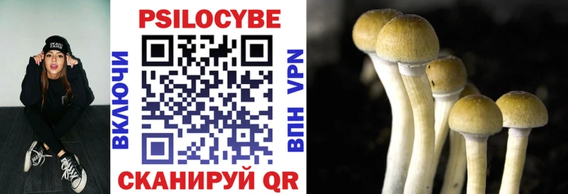 Псилоцибиновые грибы MAGIC MUSHROOMS  Медынь 